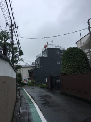 日暮里謎のラクダ