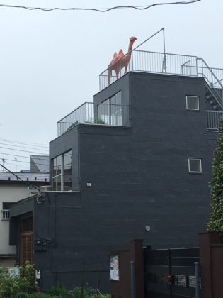 日暮里の謎のラクダ