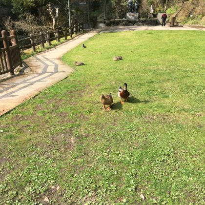 塩浸温泉龍馬公園