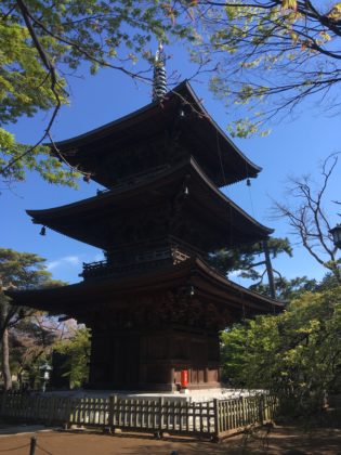 豪徳寺