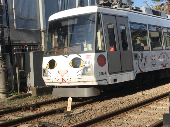 招き猫電車