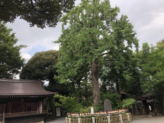 七社神社
